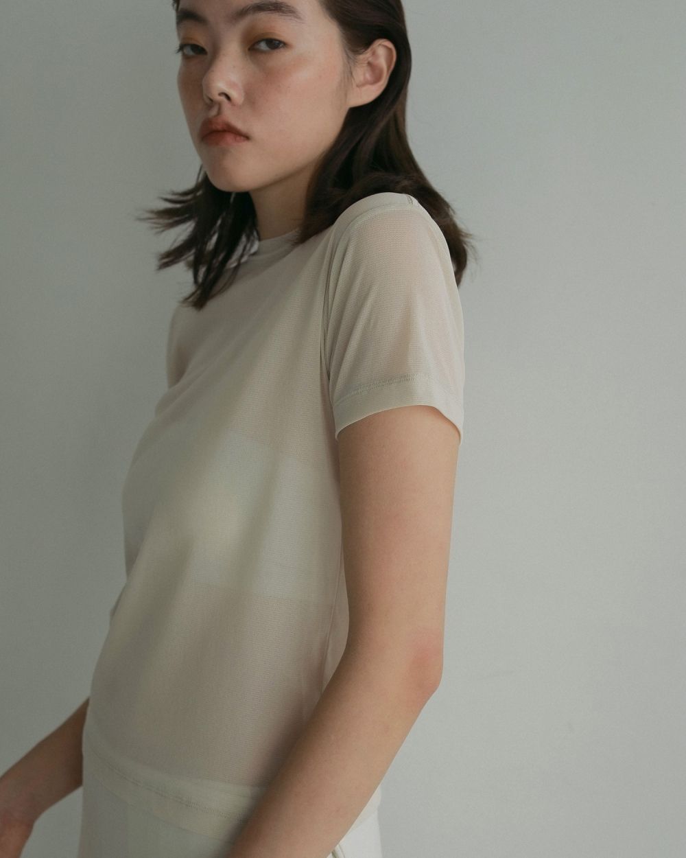 Sheer Tulle T-shirts Sheer Tulle T-shirts,シアーチュールTシャツ,62510624,トップス,Tシャツ,透け感,ノースリーブ,ànuke,アンヌーク,lifes,ライフズ,25ss