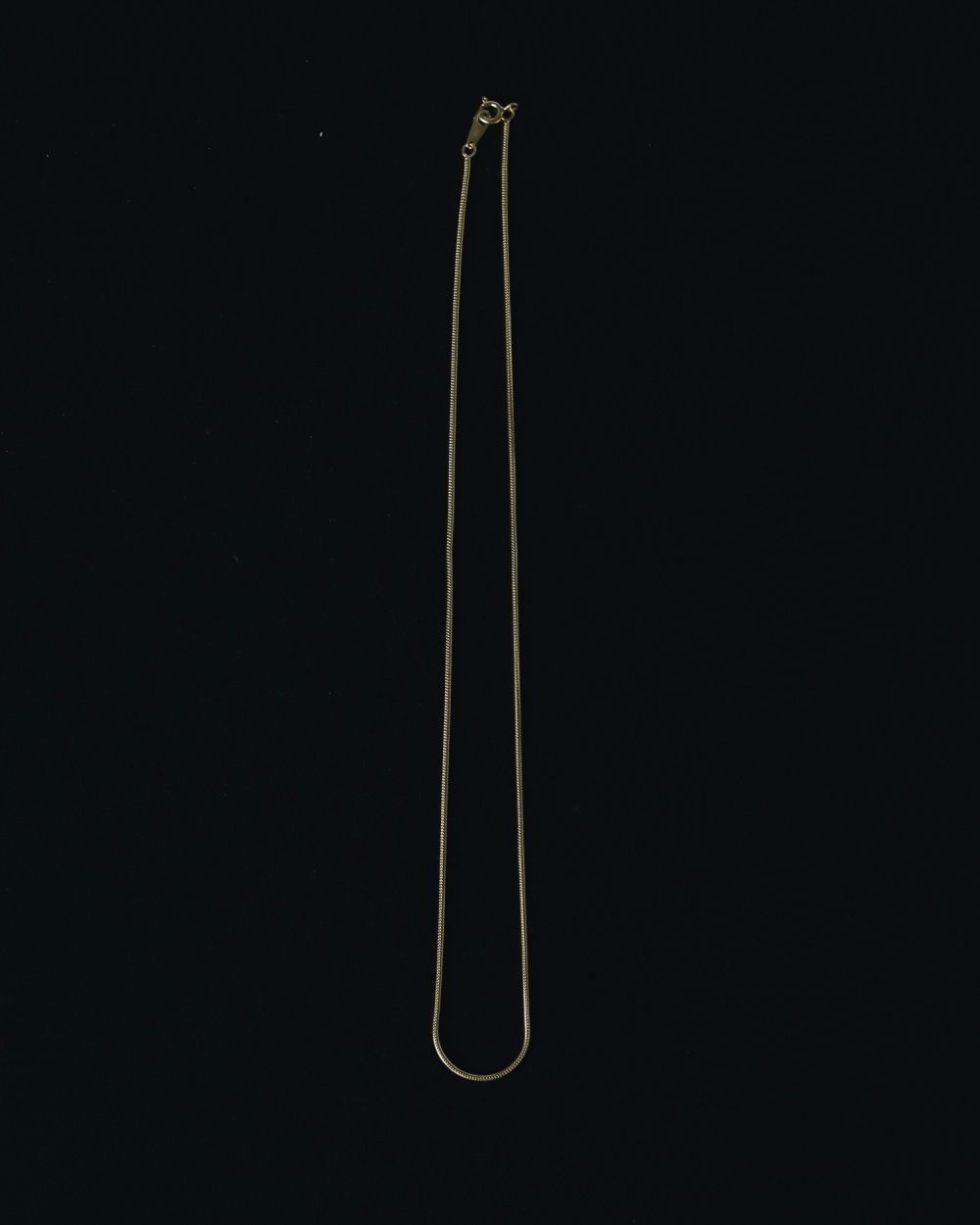 Snake Chain Necklace Snake Chain Necklace,スネークチェーンネックレス,62510906,ネックレス,アクセ,アクセサリー,きれいめ,ànuke,トアンヌーク,lifes,ライフズ,25ss