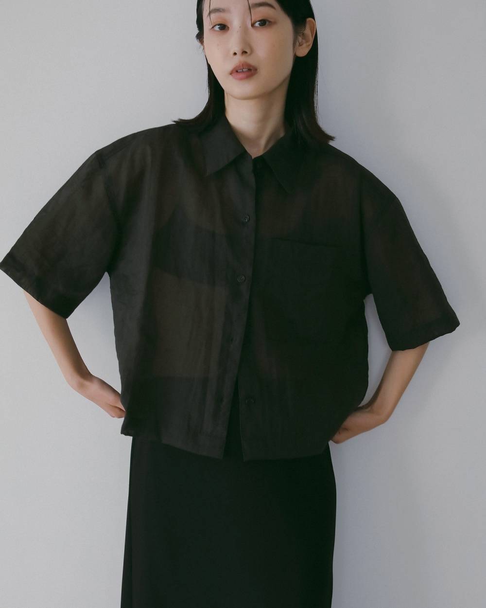 Sheer Halfsleeve Shirts Sheer Halfsleeve Shirts,シアー ハーフスリーブ シャツ,62610420,トップス,シャツ,羽織,ブラウス,透け感,シアー,コンパクト,ànuke,アンヌーク,lifes,ライフズ,26ss