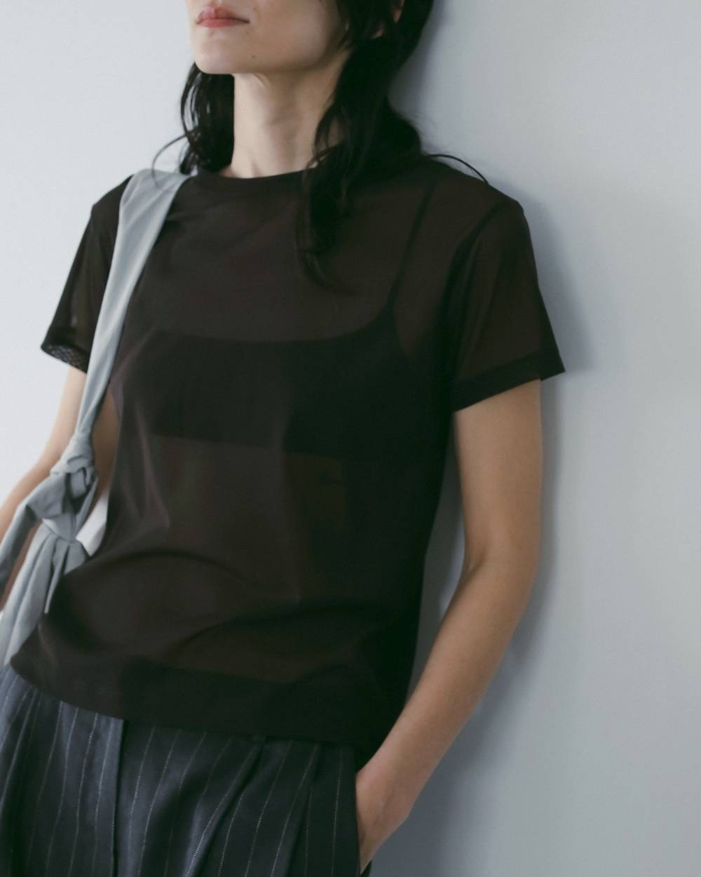 Sheer Tulle T-Shirts Sheer Tulle T-Shirts,シアー チュール Tシャツ,62610633,トップス,Tシャツ,半袖,カットソー,コンパクト,透け感,ànuke,アンヌーク,lifes,ライフズ,26ss
