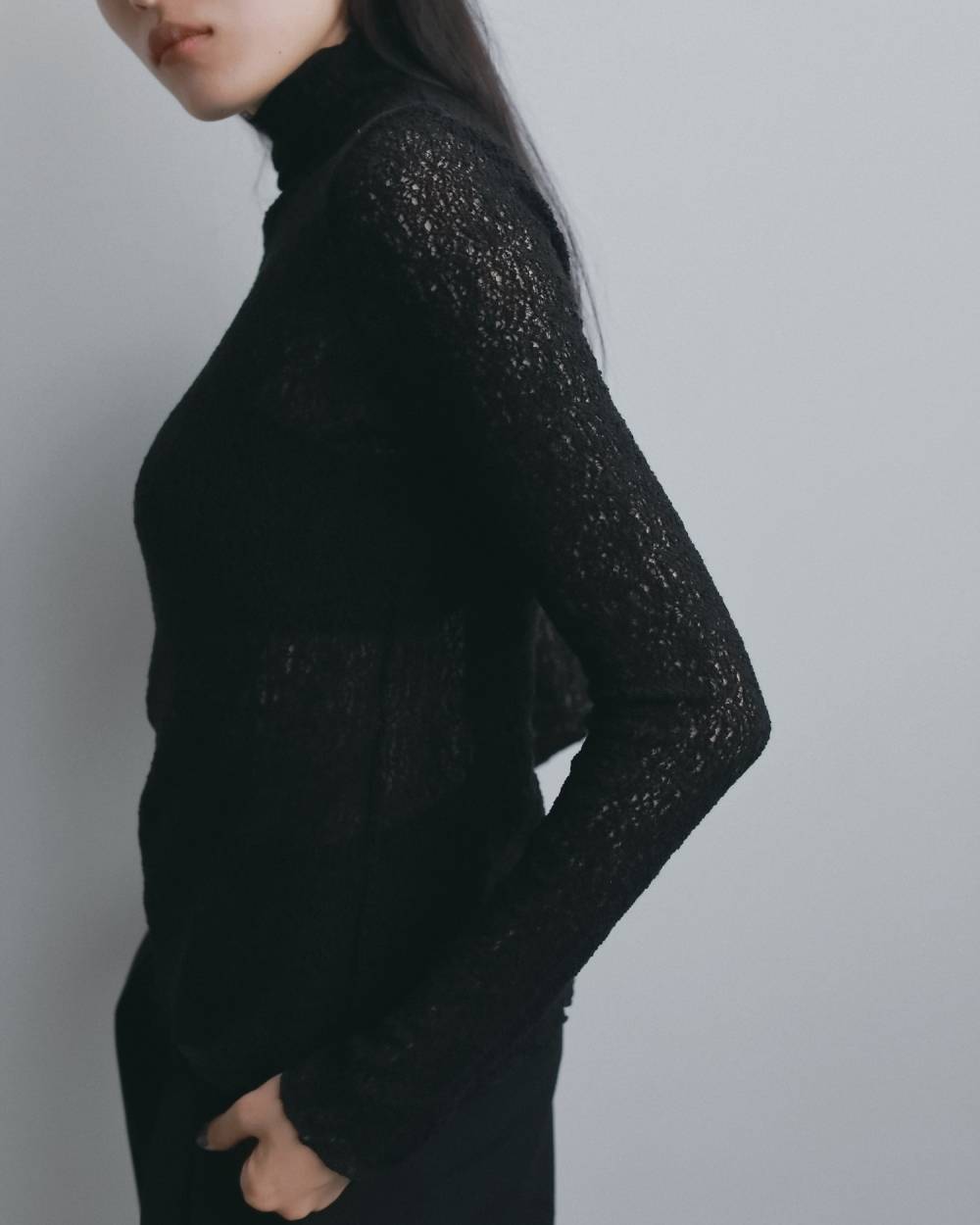 Raschel Lace Turtle Raschel Lace Turtle,ラッセルレース タートル,62620628,トップス,タートルトップス,ànuke,アンヌーク,lifes,ライフズ,26fall,26aw